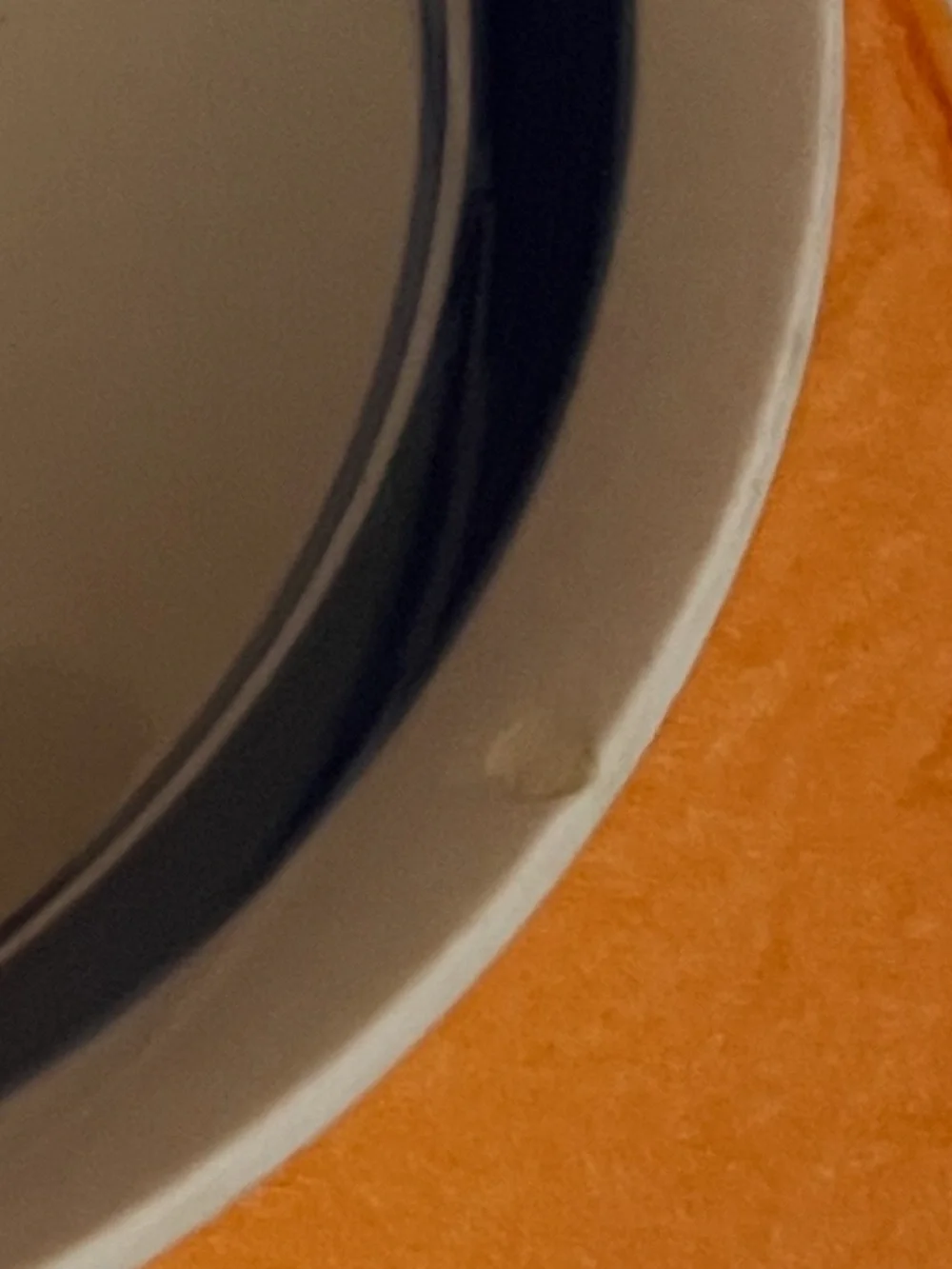 Vintage Hand-Painted Blue Rim Ceramic Fruit Serving Bowl - Orange Motif-9”